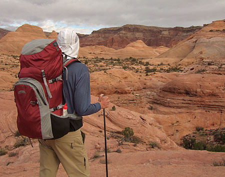 golite quest backpack