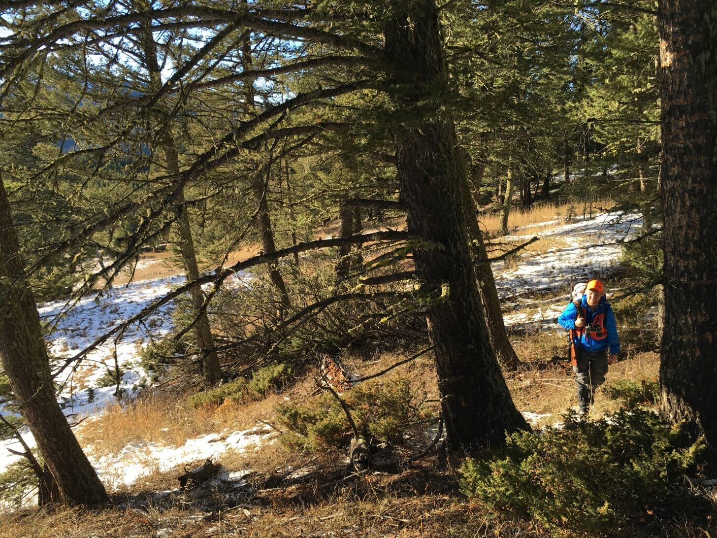 Elk Hunt Meadow Elk Hunting Trip Hyalite Canyon