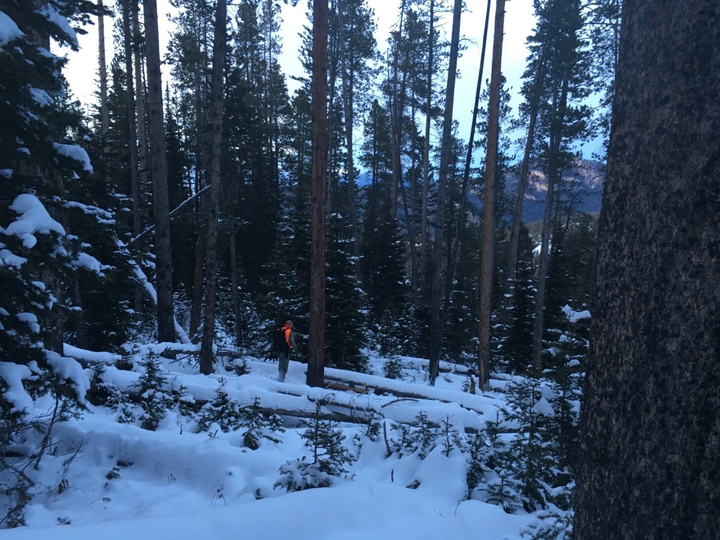 Cold Night Bushwhacking Hyalite Range Elk Hunting Trip Hyalite Canyon