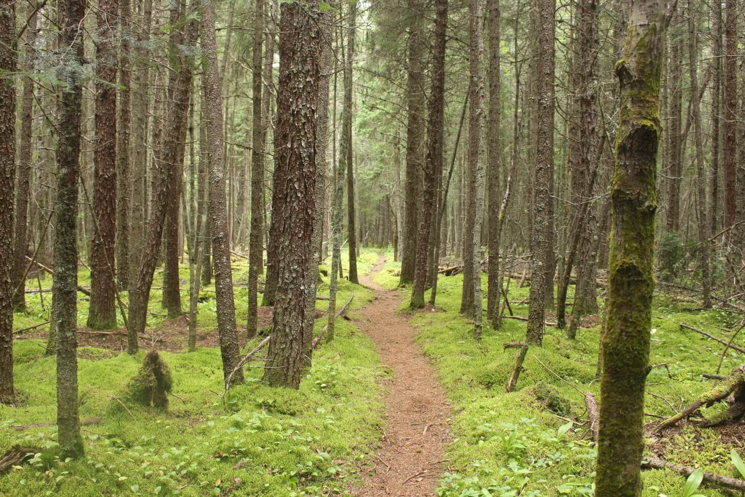 Hattie's Cove, Pukaskwa National Park Coastal Trail, Lake Superior