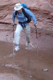 Leki Ultralite Ti COR-TEC Trekking Poles - 5
