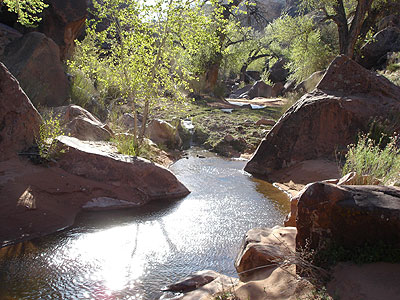 Navajo Canyon Trip Report - 37