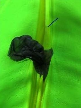Oware Poncho/Tarp REVIEW - 10