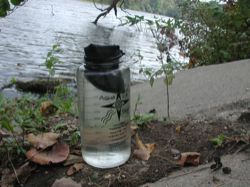 Meridian Designs AquaStar Plus Ultraviolet Light Water Purifier REVIEW - 2