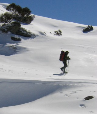 Yowie snowshoes REVIEW