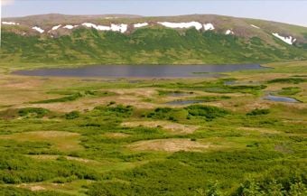 Journey on the Wild Coast - 17