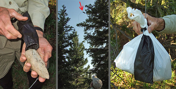 AntiGravityGear TreeLine SPOTLITE REVIEW - 2