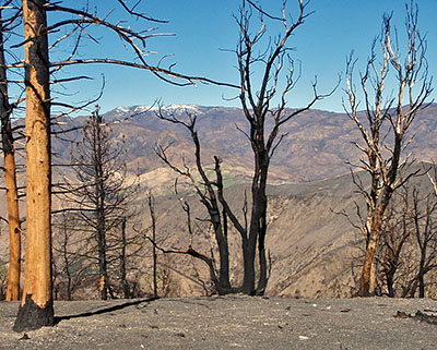 Fire and Ultralight, a US Forest Service Recon - 1