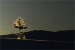 Lightweight Photography: Interview with lightweight photographers - 2