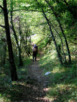 Track Notes for the GR52 in France - 29