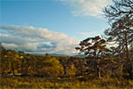 Autumn in Cairngorms National Park, Scotland - 3