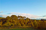 Autumn in Cairngorms National Park, Scotland - 4