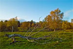 Autumn in Cairngorms National Park, Scotland - 5
