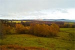 Autumn in Cairngorms National Park, Scotland - 7