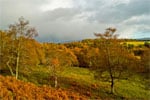 Autumn in Cairngorms National Park, Scotland - 8