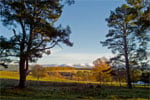 Autumn in Cairngorms National Park, Scotland - 9