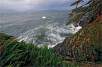 Journey on the Wild Coast - 6