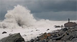 Journey on the Wild Coast - 7