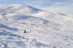 Winter in Cairngorms National Park, Scotland - 1