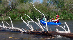 Photo Essay: Packrafting the Madison River - 8