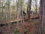 Therapeutic Ultralight: Using Lightweight Backpacking to help Troubled Boys - 9