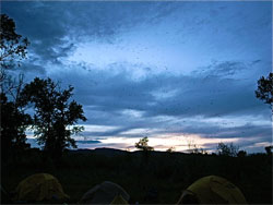 Two in One Boat: A Photo and Video Essay from Montanas Jefferson River - 7
