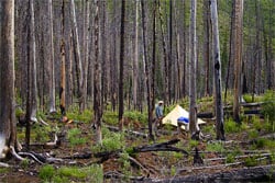Photo Essay: A Traverse of the Bob Marshall Wilderness by Foot and Packraft - 25