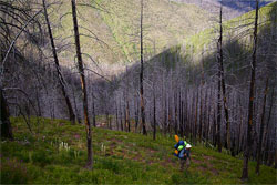 Photo Essay: A Traverse of the Bob Marshall Wilderness by Foot and Packraft - 28