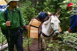 Photo Essay: A Traverse of the Bob Marshall Wilderness by Foot and Packraft - 44