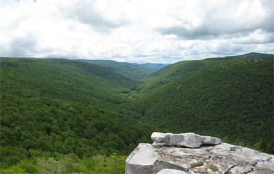 New Wilderness! Dolly Sods & Roaring Plains - 13