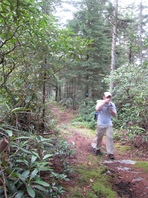 New Wilderness! Dolly Sods & Roaring Plains - 17
