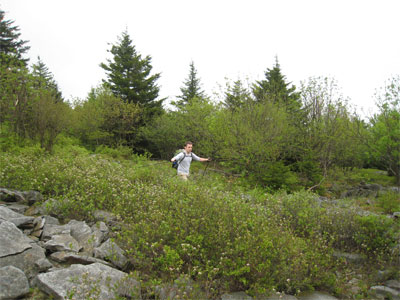 New Wilderness! Dolly Sods & Roaring Plains - 18