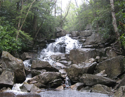 New Wilderness! Dolly Sods & Roaring Plains - 3