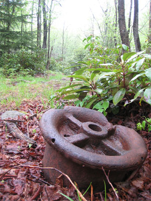 New Wilderness! Dolly Sods & Roaring Plains - 4