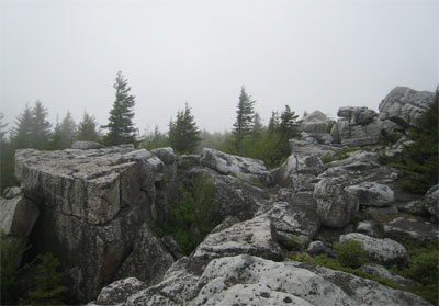 New Wilderness! Dolly Sods & Roaring Plains - 6