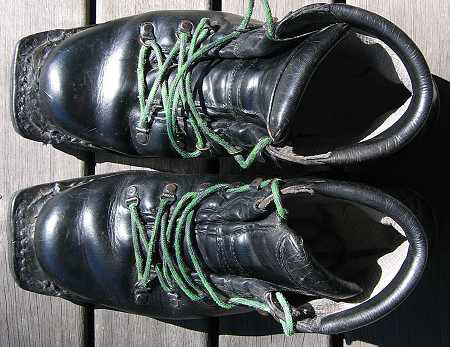 seal leather shoes