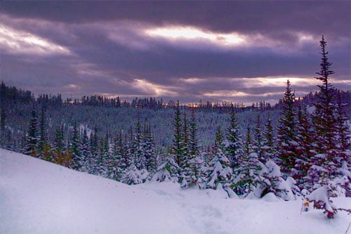 24: Nine Months til Summer - 3