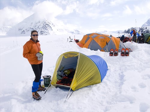 Denali Light (2007) - 2