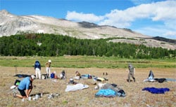 Wilderness Trekking II: Long Distance Backpacking  - 4