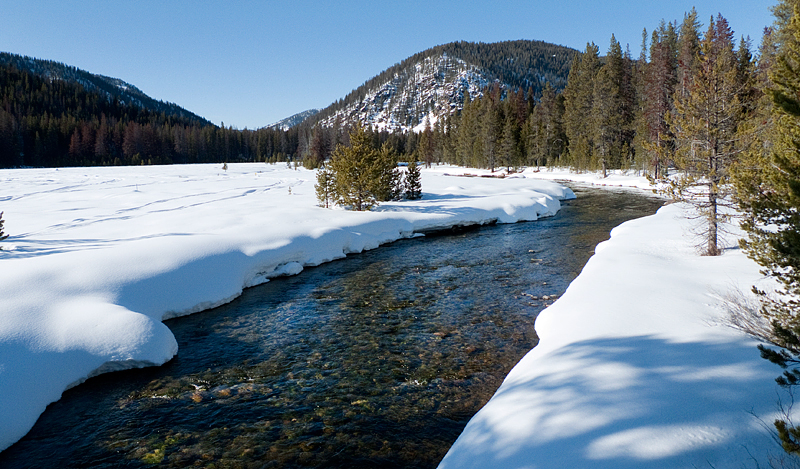 Rapids, Wolves, and Winter - 4