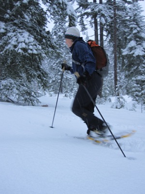 Gossamer Gear Lightrek 4 Trekking Pole Review - 1