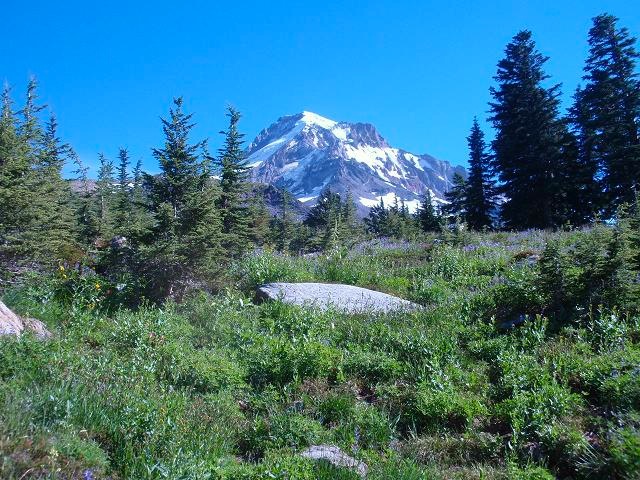September Around Mount Hood - 13