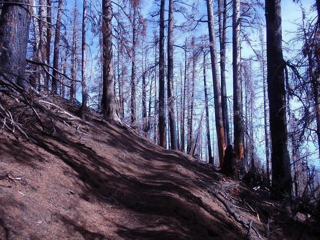 September Around Mount Hood - 4