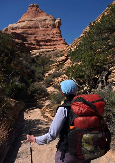 Equinox ARAS Eagle Backpack Review - 1