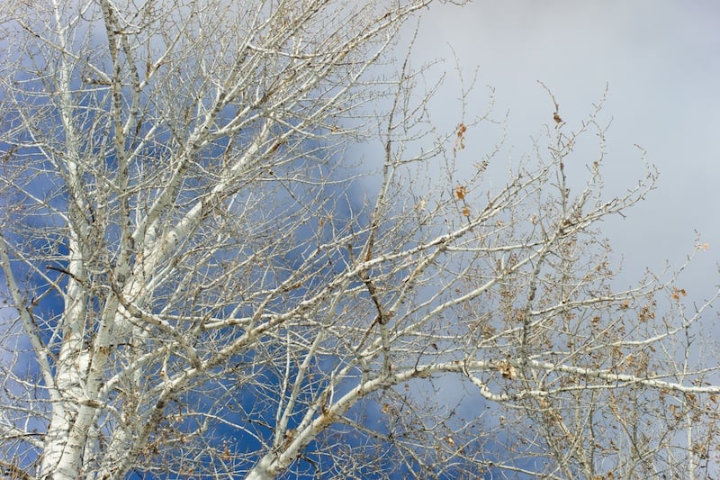Sony NEX-7 Review - 5
