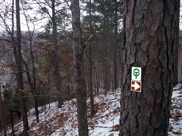 The Ozark Trail: Winters Tone - 1