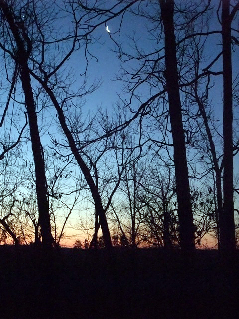 The Ozark Trail: Winters Tone - 15