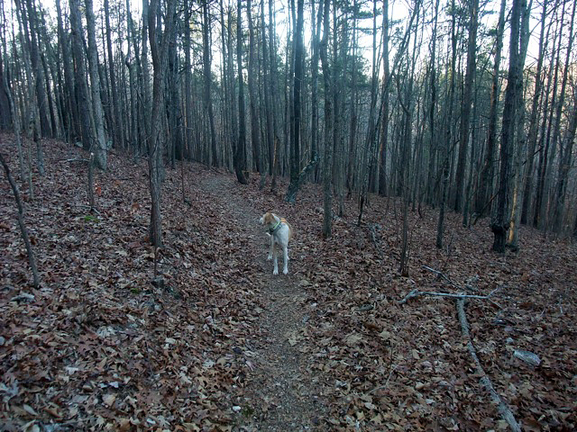 The Ozark Trail: Winters Tone - 16