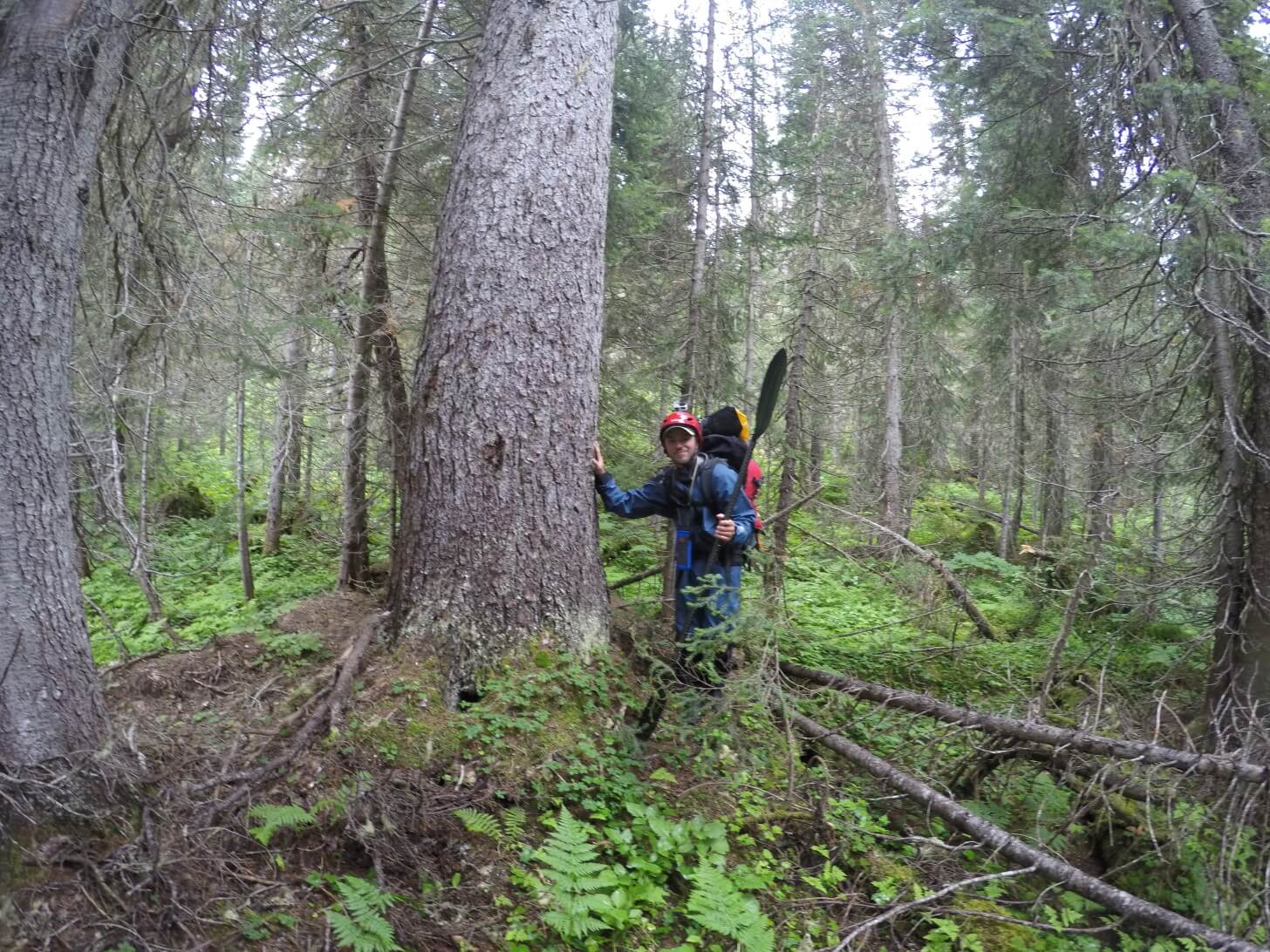 Packrafting the Wood River (British Columbia) - Backpacking Light