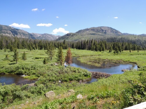 Packrafting the Upper Yellowstone River - Backpacking Light